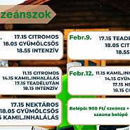 Szaunaszeánszok február 2-12.
