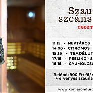 Szaunaszeánszok
